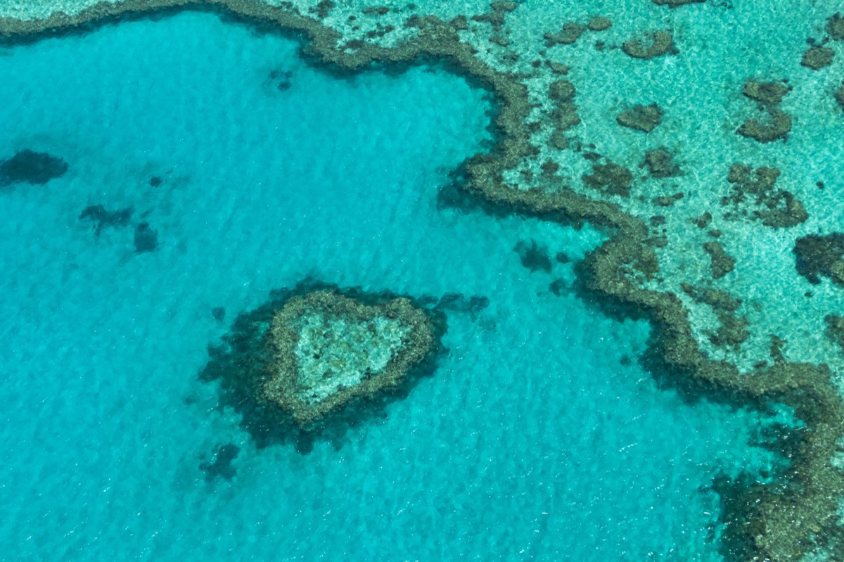Heart Reef on the Great Barrier Reef