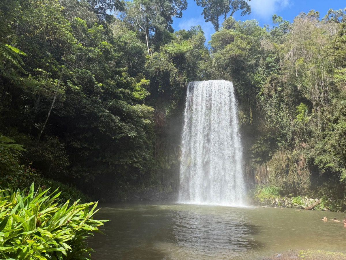 Millaa Millaa Falls on the Atherton Tablelands