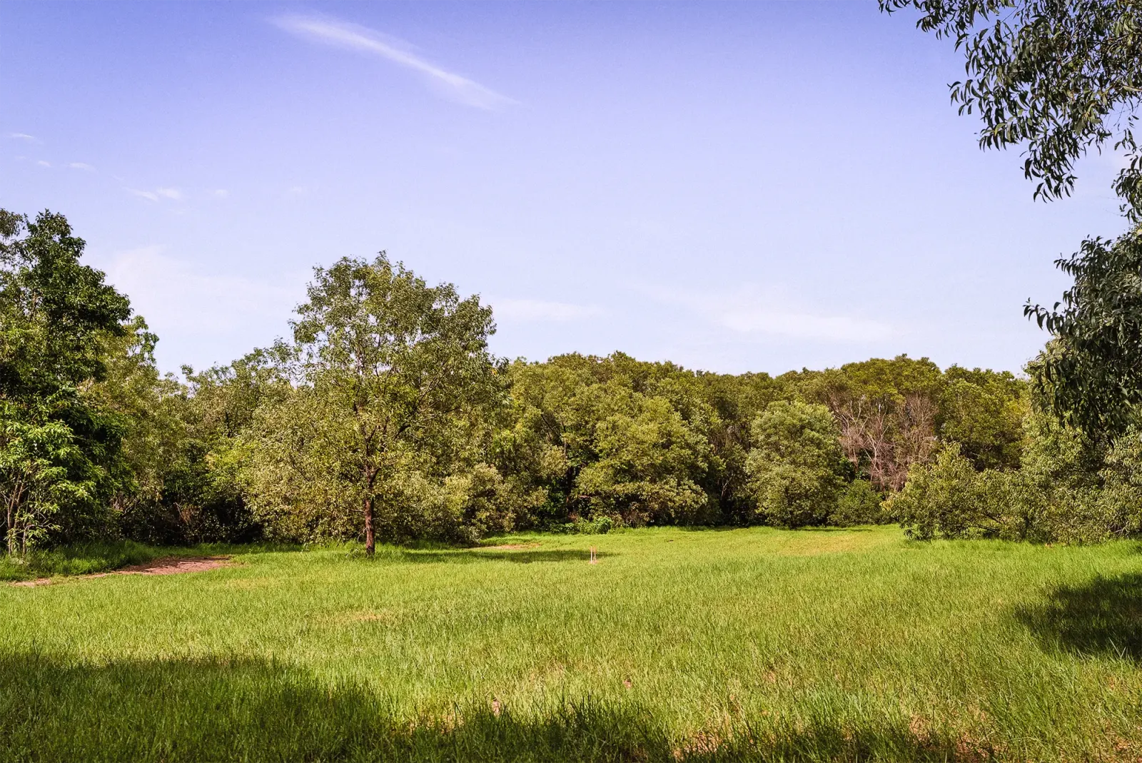 The cleared building pad on Lot 18, at ground level