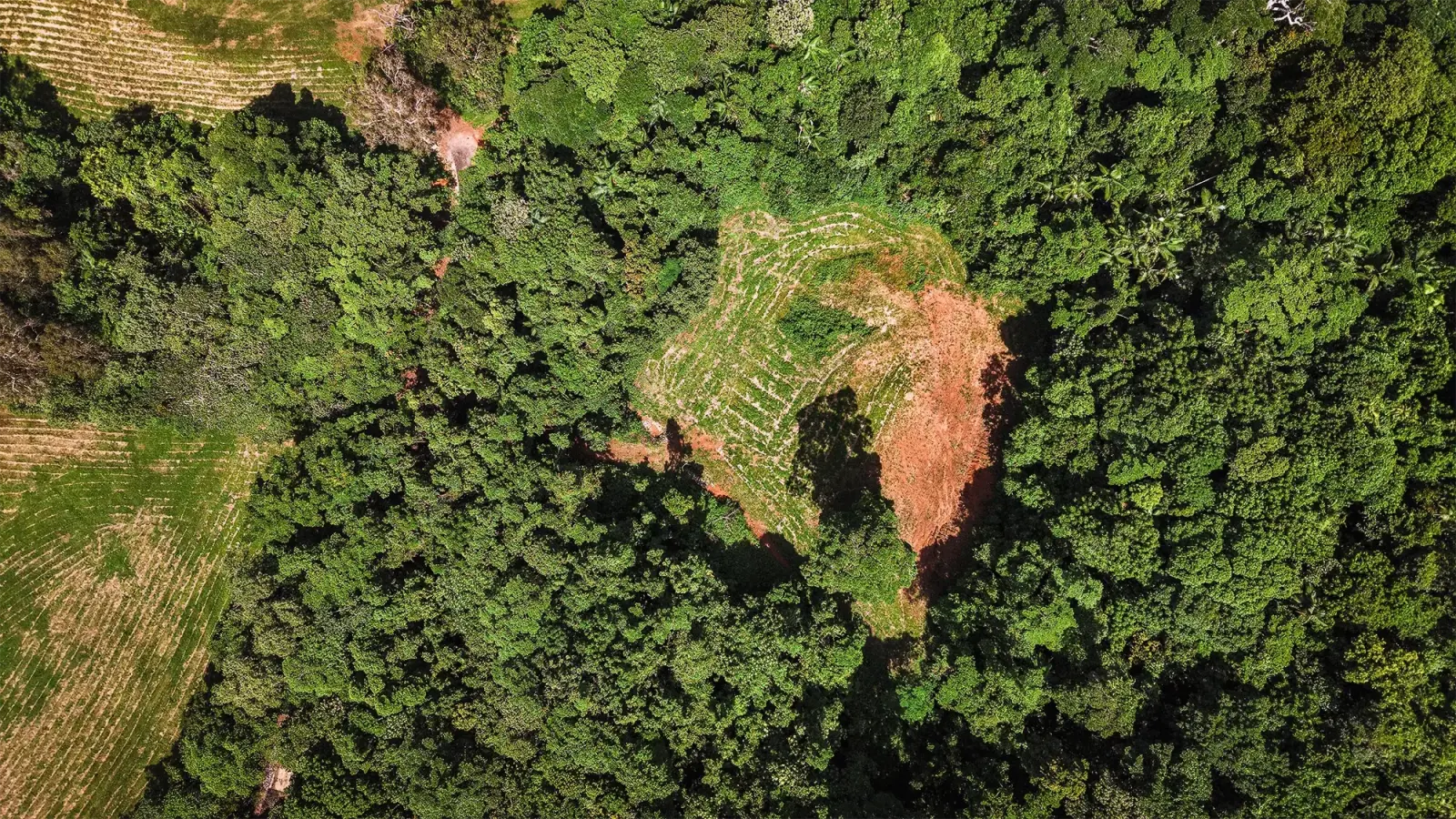 Lot 22 from directly above, the cleared pad in the rainforest